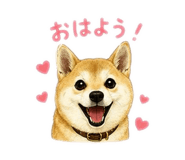 843369073