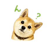 843369082