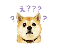 843369083