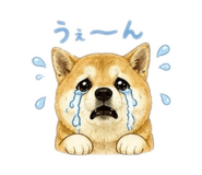 843369087