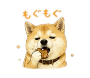 843369090