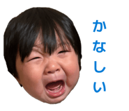 843369247