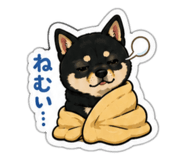 843369503