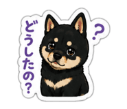 843369505