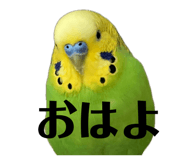843369977