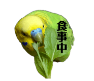 843369981