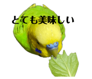 843369982