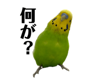 843369984