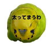 843369987