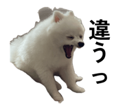 843370000
