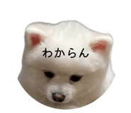 843370002