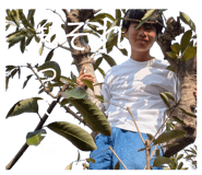843370306
