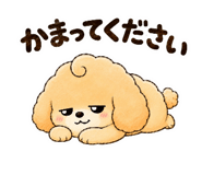 843370425