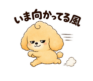 843370454