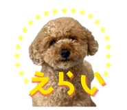843370600