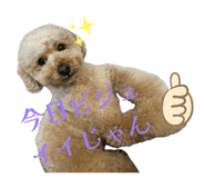 843370621