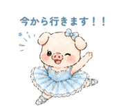 843370648