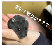 843370776