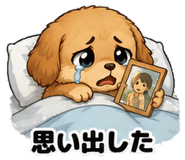 843371383