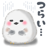 843371631