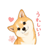 843371851