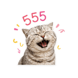 843372338