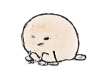 843372435