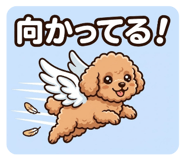 843372642