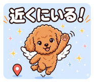 843372646