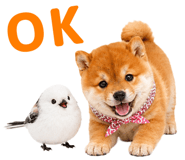 843372771