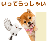 843372780