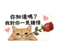 843373537