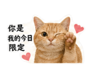 843373538