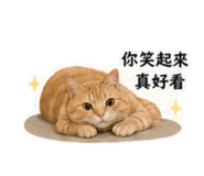 843373540