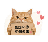 843373541