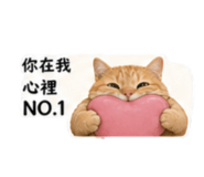 843373542