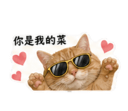 843373543