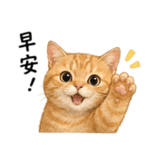 843373546