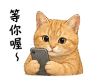843373551