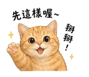 843373556