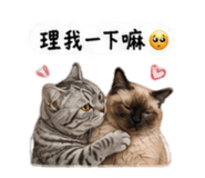 843373720