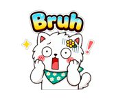 843374440