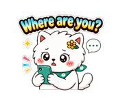 843374444