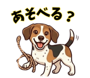 843374582