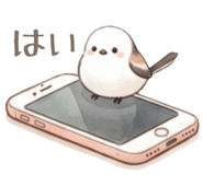 843374976