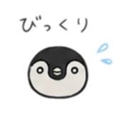 843375029