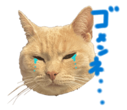 843375517