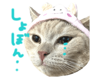 843375520