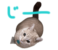843375535