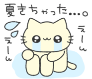 843375581